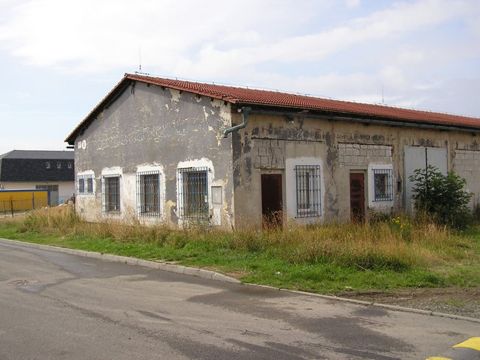 Foto 14